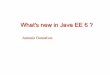 What's new in Java EE 6 ?