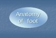 Anatomy of foot - e-Learning Nursing Mahidol
