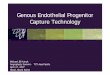 Genous Endothelial Progenitor Capture Technology