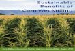 Sustainable Benefits of Corn Wet Milling