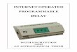INTERNET OPERATED PROGRAMMABLE RELAY - PLC controllers Home