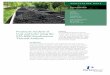 Proximate Analysis of Coal and Coke using the STA 8000