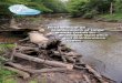 Field Manual on Maintenance of Large Woody Debris for