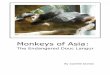 Monkeys of Asia - Monkey Matters
