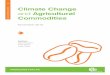 Climate Change and Agricultural Commodities Working Paper - CABI