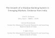 The Growth of a Shadow Banking System in Emerging Markets