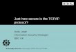 Just how secure is the TCP/IP protocol?