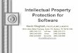 Intellectual Property Protection for Software