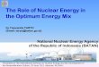 The Role of Nuclear Energy in the Optimum Energy Mix