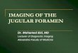 IMAGING OF THE JUGULAR FORAMEN - Department of Otolaryngology