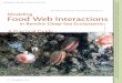 Modeling Oceanography Food Web Interactions