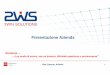 2WS Company Pres 2018 - 2winsolutions.com