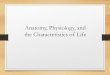 Anatomy, Physiology, and the Characteristics of Life