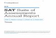 2019 Texas SAT Suite of Assessments Annual Report