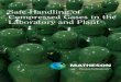 Compressed Gas Guideline - Health Safety & Environment