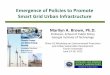 Emergence of Policies to Promote Smart Grid Urban 