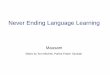 Never Ending Language Learning - IIT Delhi