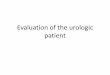 Evaluation of the urologic patient