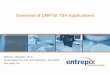 Overview of CMP for TSV Applications