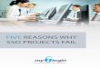 FIVE REASONS WHY SSO PROJECTS FAIL - Network ROI