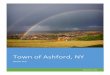 Town of Ashford, NY
