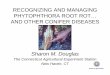 RECOGNIZING AND MANAGING PHYTOPHTHORA ROOT ROT AND OTHER