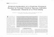 Clinical Evaluation of a Positive Pressure Device to Prevent