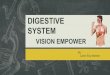 SYSTEM DIGESTIVE VISION EMPOWER HUMAN