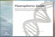 Fluorophores Guide - Promega