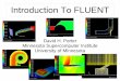 Introduction To FLUENT - Minnesota Supercomputing Institute