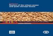 Pakistan. Review of the wheat sector and grain storage issues - FAO