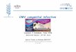 CMV congenital infection - sasuog