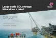 Experiences in managing CO2 storage projects - Sintef