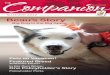Beau's Story - Veterinary Pet Insurance