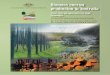 Biomass energy production in Australia - Sustainability Victoria