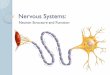 Nervous Systems I PPT