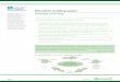Education briefing paper: Strategic planning - Microsoft