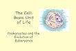 The Cell: Basic Unit of Life