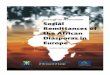 Social Remittances of the African Diasporas in - Council of Europe