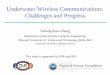 Underwater Wireless Communications: Challenges and Progress