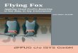 Flying Fox: Applying VFP Reporting to Any Data -
