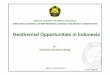 Geothermal Opportunities in Indonesia