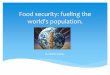 Food security: fueling the world's population