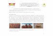 desenvolvimento de panqueca com quinoa - Departamento de