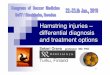 Hamstring injuries – differential diagnosis and treatment 