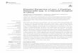 Plasmid Dynamics of mcr-1-Positive Salmonella spp. in a 