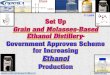 Set Up Grain and Molasses-Based Ethanol Distillery 