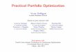 Practical Portfolio Optimization - London Business School