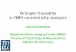 Granger Causality in fMRI connectivity analysis - ClopiNet
