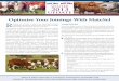 Winter 2013 - Australian Red Poll Cattle Breeders Incorporated